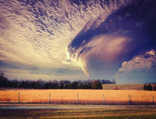 Natural Disasters and Catastrophes: Why Property and Casualty Reinsurance Makes Sense